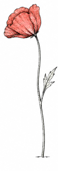 Valérie Bazerque, hypnose et naturopathie à Nice